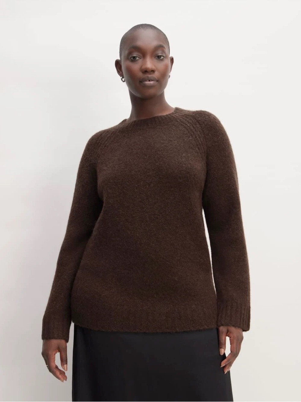 Everlane alpaca superfuzz oversized sweater